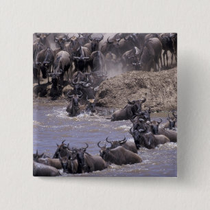 Africa, Kenya, Masai Mara National Park. 15 Cm Square Badge