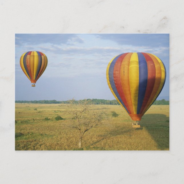 Africa, Kenya, Masai Mara National Preserve, Postcard (Front)