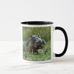 Africa, Kenya, Masai Mara NR. A mother hippo Mug