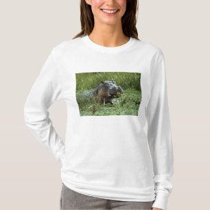 Africa, Kenya, Masai Mara NR. A mother hippo T-Shirt