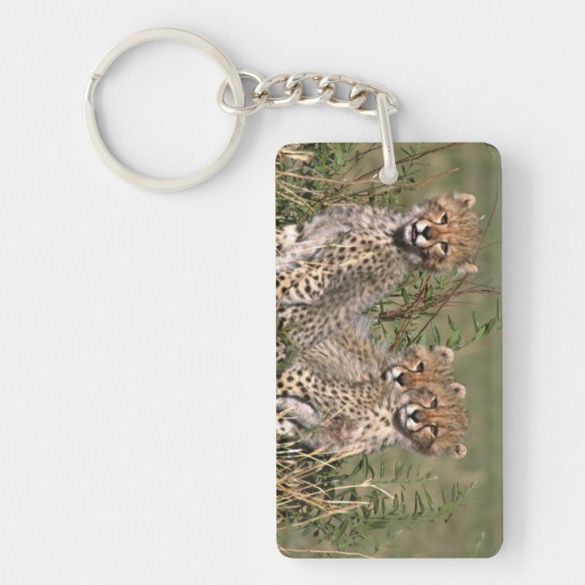 Africa; Kenya; Masai Mara; Three cheetah cubs Key Ring (Front)