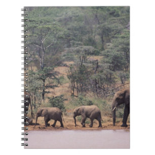 Africa, Kenya, Nanyuki, Mpala. African Spiral Notebook