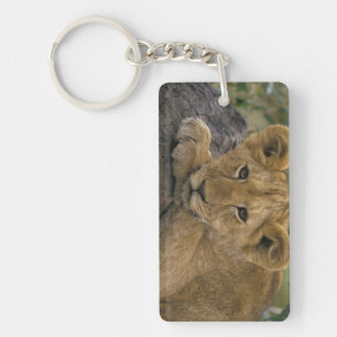Africa, Kenya. Portrait of a lion. Key Ring