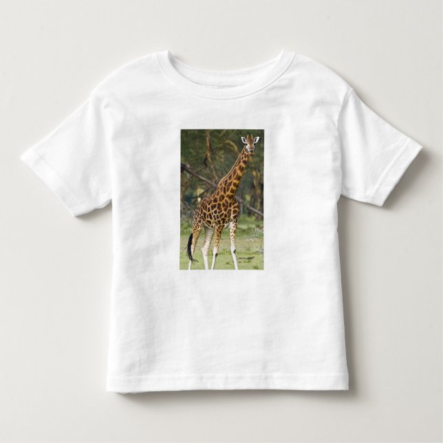 Africa. Kenya. Rothschild's Giraffe at Lake 2 Toddler T-Shirt (Front)
