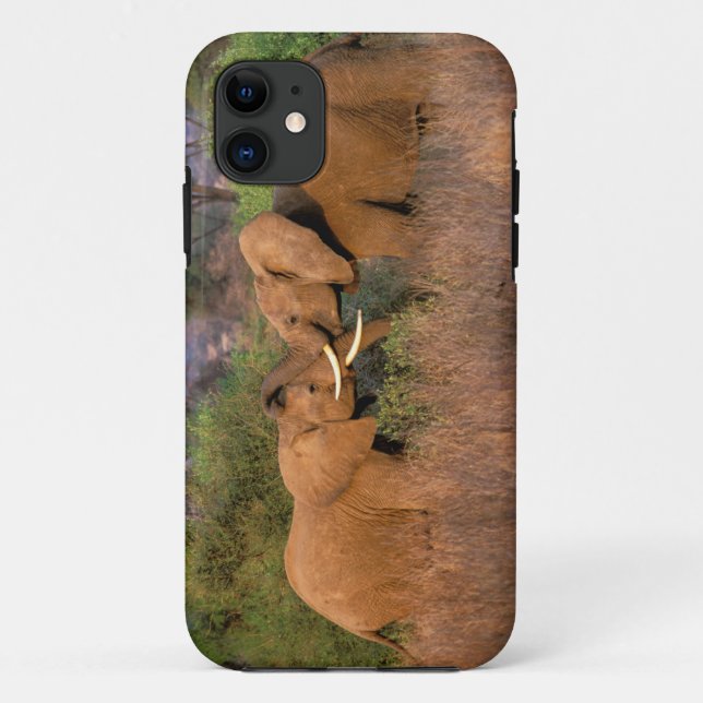 Africa, Kenya, Samburu. Elephant challenge Case-Mate iPhone Case (Back)