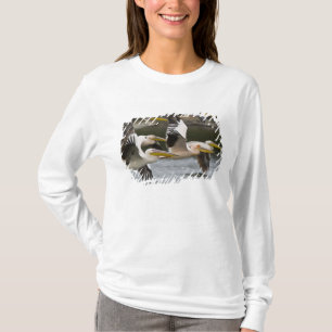 Africa. Kenya. White Pelicans in flight at Lake T-Shirt