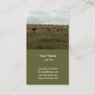 Africa Kenya wild animals Business Card