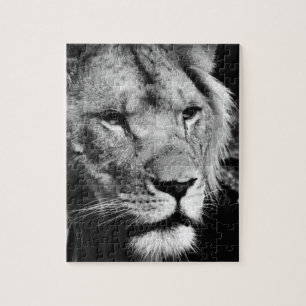 africa lion male closeup macro jigsaw puzzle