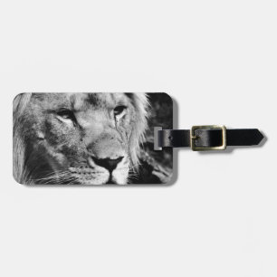 africa lion male closeup macro luggage tag