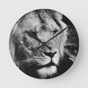 africa lion male closeup macro round clock