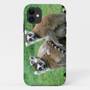 Africa, Madagascar, Antananarivo, Tsimbazaza Case-Mate iPhone Case