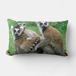 Africa, Madagascar, Antananarivo, Tsimbazaza Lumbar Cushion