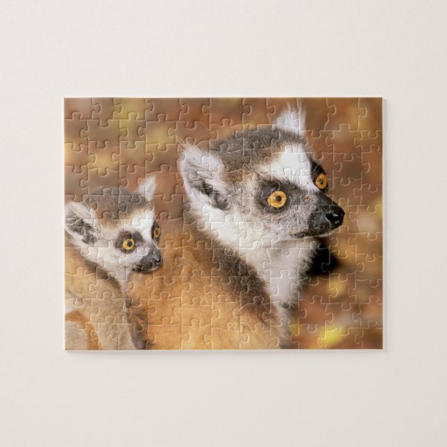 Africa, Madagascar, Berenty Private Reserve. Jigsaw Puzzle (Horizontal)