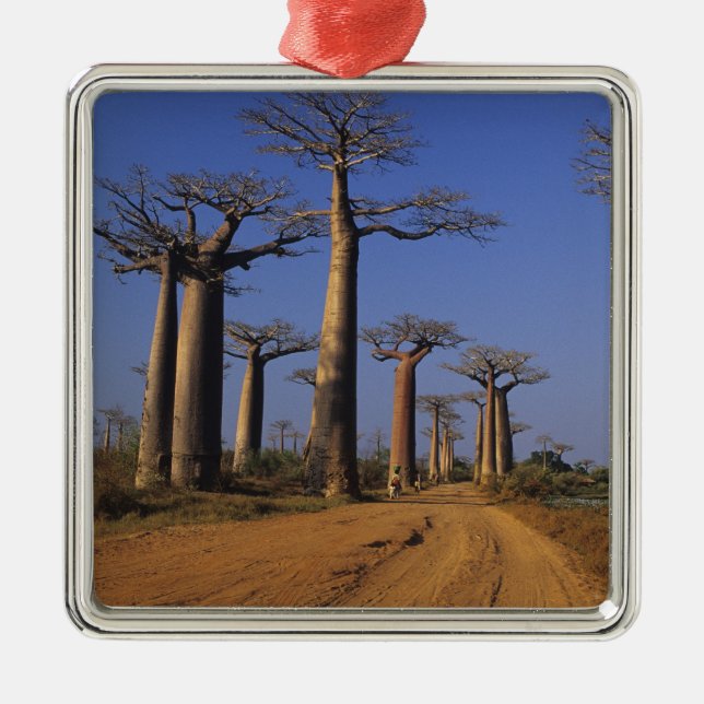 Africa, Madagascar, Morondava, Baobab Avenue. Metal Tree Decoration (Front)