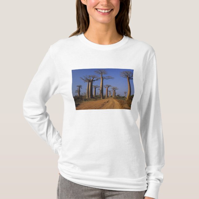 Africa, Madagascar, Morondava, Baobab Avenue. T-Shirt (Front)