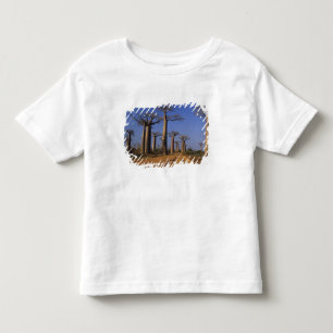 Africa, Madagascar, Morondava, Baobab Avenue. Toddler T-Shirt