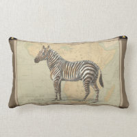 Africa Map and a Zebra