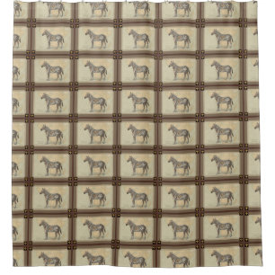 Africa Map and a Zebra Shower Curtain