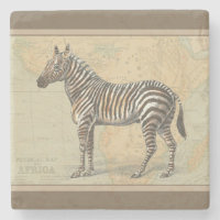 Africa Map and a Zebra