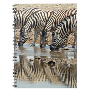 Africa, Namibia, Etosha NP. Burchell's Zebra Spiral Notebook