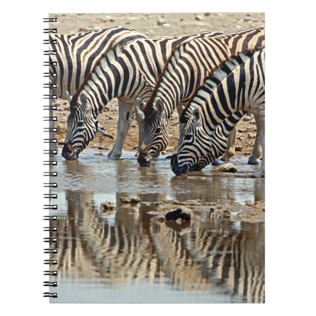 Africa, Namibia, Etosha NP. Burchell's Zebra Spiral Notebook (Front)