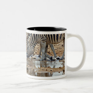 Africa, Namibia, Etosha NP. Burchell's Zebra Two-Tone Coffee Mug