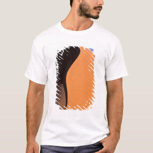 Africa, Namibia, Evening light on dunes, T-Shirt