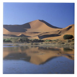 Africa, Namibia, Namib National Park, Sossusvlei 2 Tile