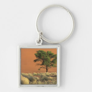 Africa, Namibia, Namib National Park, Sossusvlei Key Ring