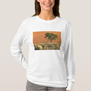 Africa, Namibia, Namib National Park, Sossusvlei T-Shirt