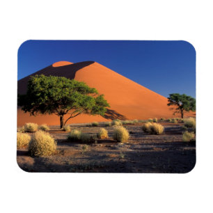 Africa, Namibia, Namib-Naukluff Park, Sossosvlei Magnet
