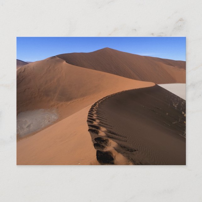 Africa, Namibia, Namib Naukluft National Park, 2 Postcard (Front)