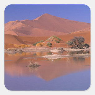 Africa, Namibia. Namib-Naukluft Park. 2 Square Sticker