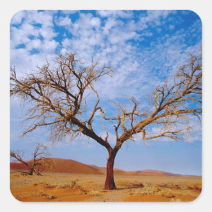 Africa, Namibia, Naukluft National Park, Square Sticker