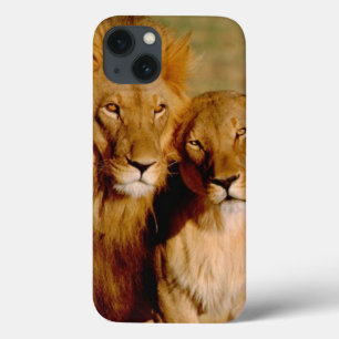 Africa, Namibia, Okonjima. Lion & lioness iPhone 13 Case