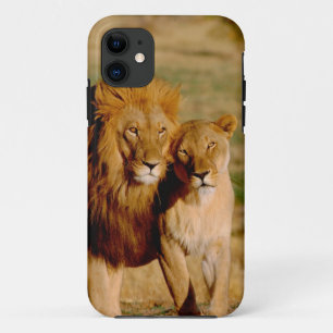 Africa, Namibia, Okonjima. Lion & lioness Case-Mate iPhone Case