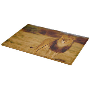 Africa, Namibia, Okonjima. Lone male lion Cutting Board