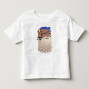 Africa, Namibia, Sossusvlei Region. Sand dunes Toddler T-Shirt