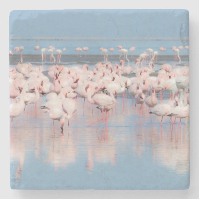Africa, Namibia, Walvis Bay Stone Coaster (Front)