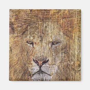Africa safari animal wildlife majestic lion magnet