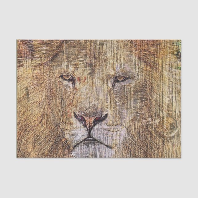 Africa safari animal wildlife majestic lion tissue paper (Front)