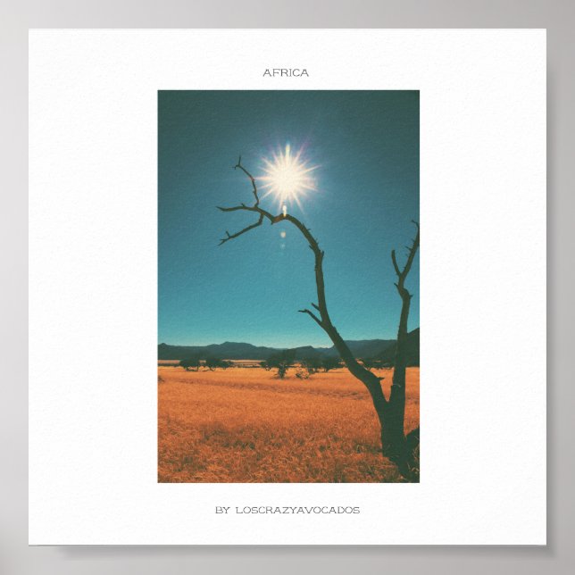 Africa Savannah Grass Tree View Panorama Poster (Front)