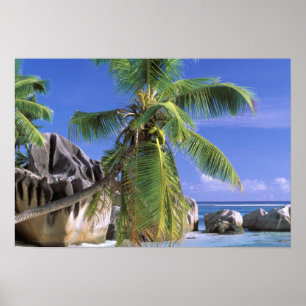 Africa, Seychelles, La Digue Island. Granite Poster