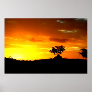 Africa Sleeps Poster