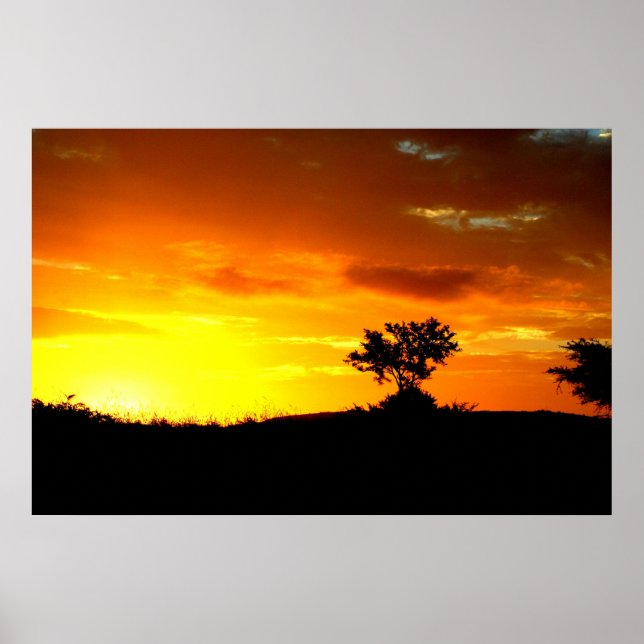 Africa Sleeps Poster (Front)