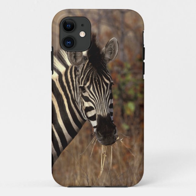 Africa, South Africa, Kruger NP Zebra portrait Case-Mate iPhone Case (Back)