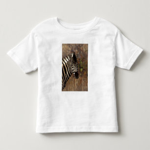 Africa, South Africa, Kruger NP Zebra portrait Toddler T-Shirt