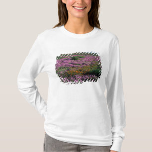 Africa, South Africa, Namaqualand, Orange and T-Shirt