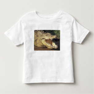 Africa, South Africa Nile crocodile Toddler T-Shirt