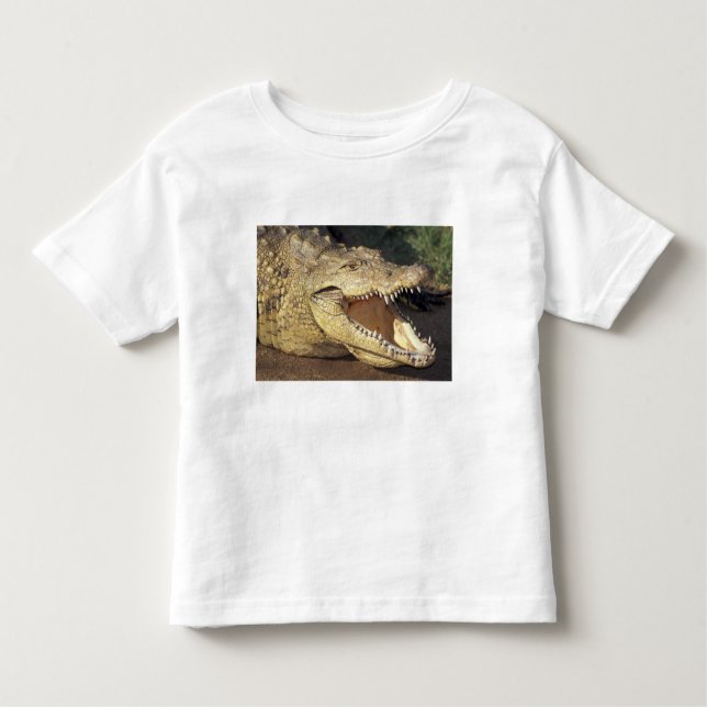 Africa, South Africa Nile crocodile Toddler T-Shirt (Front)